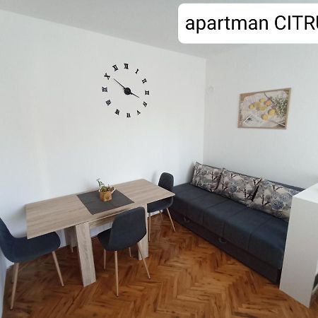 Apartman "Citrus" טרביניה מראה חיצוני תמונה
